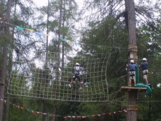  Im Netz 